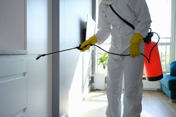 Best Professional Mold Removal  in Carlinvle, IL