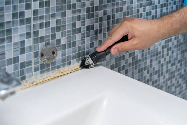 Mold Testing and Removal in Carlinville, IL
