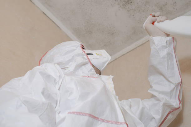 Best Crawl Space Mold Removal  in Carlinvle, IL