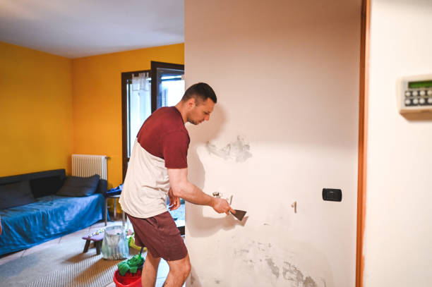 Best Certified Mold Removal  in Carlinvle, IL