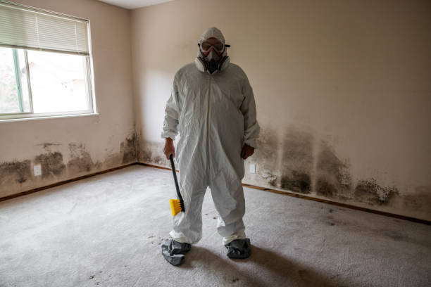 Best Emergency Mold Removal  in Carlinvle, IL